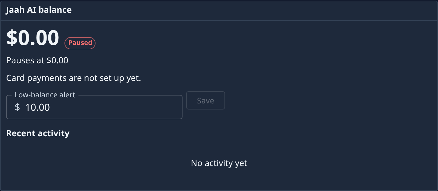 The Jaah AI balance section, showing the balance, its state, the low-balance alert and recent activity